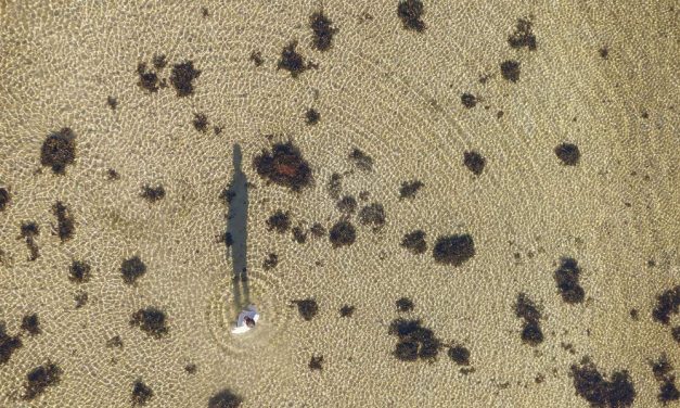 Jón Norman – Back in the Ocean