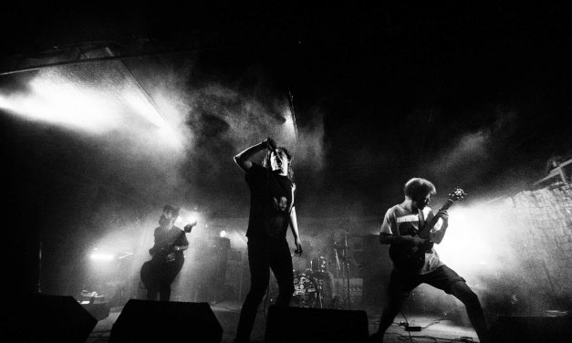 Interview: Hexis favner tyngden