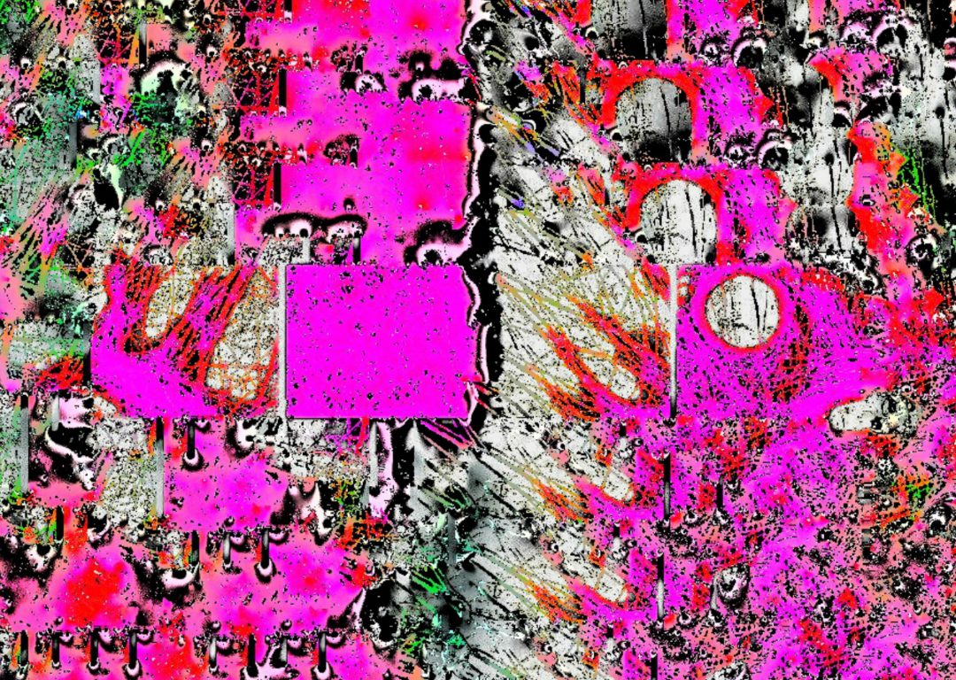 Sonic Moon – Usually I Don’t Care for Flowers