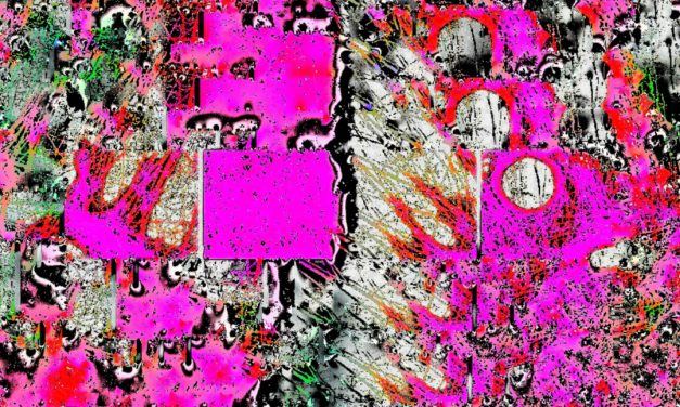 Sonic Moon – Usually I Don’t Care for Flowers