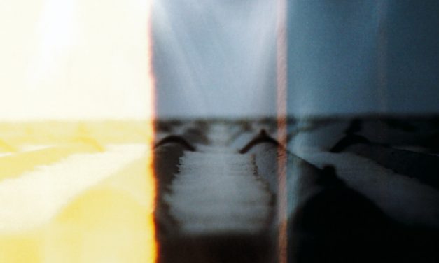 FIRS – Det svimler