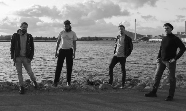 Vivid: “Vores genre er som en schweizerkniv”