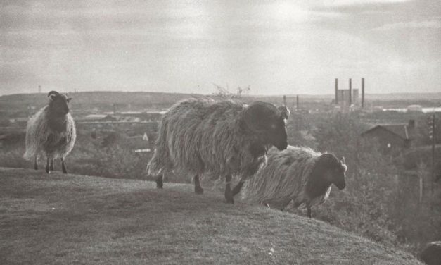 Touching Grace: Gamle rockkonger gør atter krav på tronen