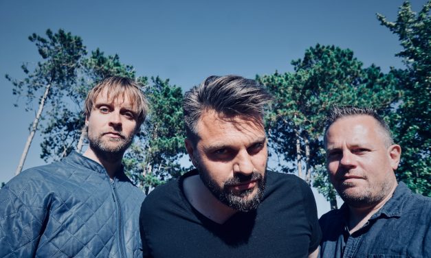 Wanna Be Brothers: I nattens hede